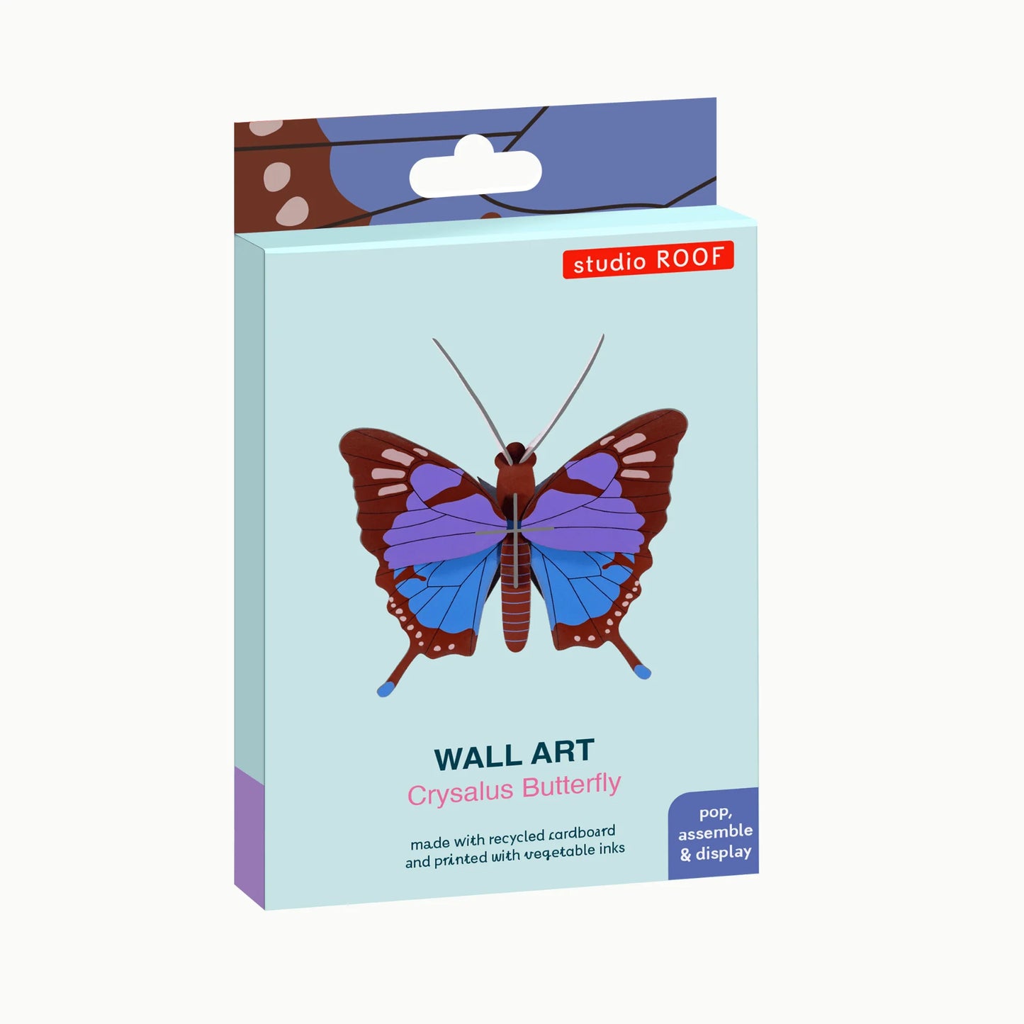 Crysalus Butterfly