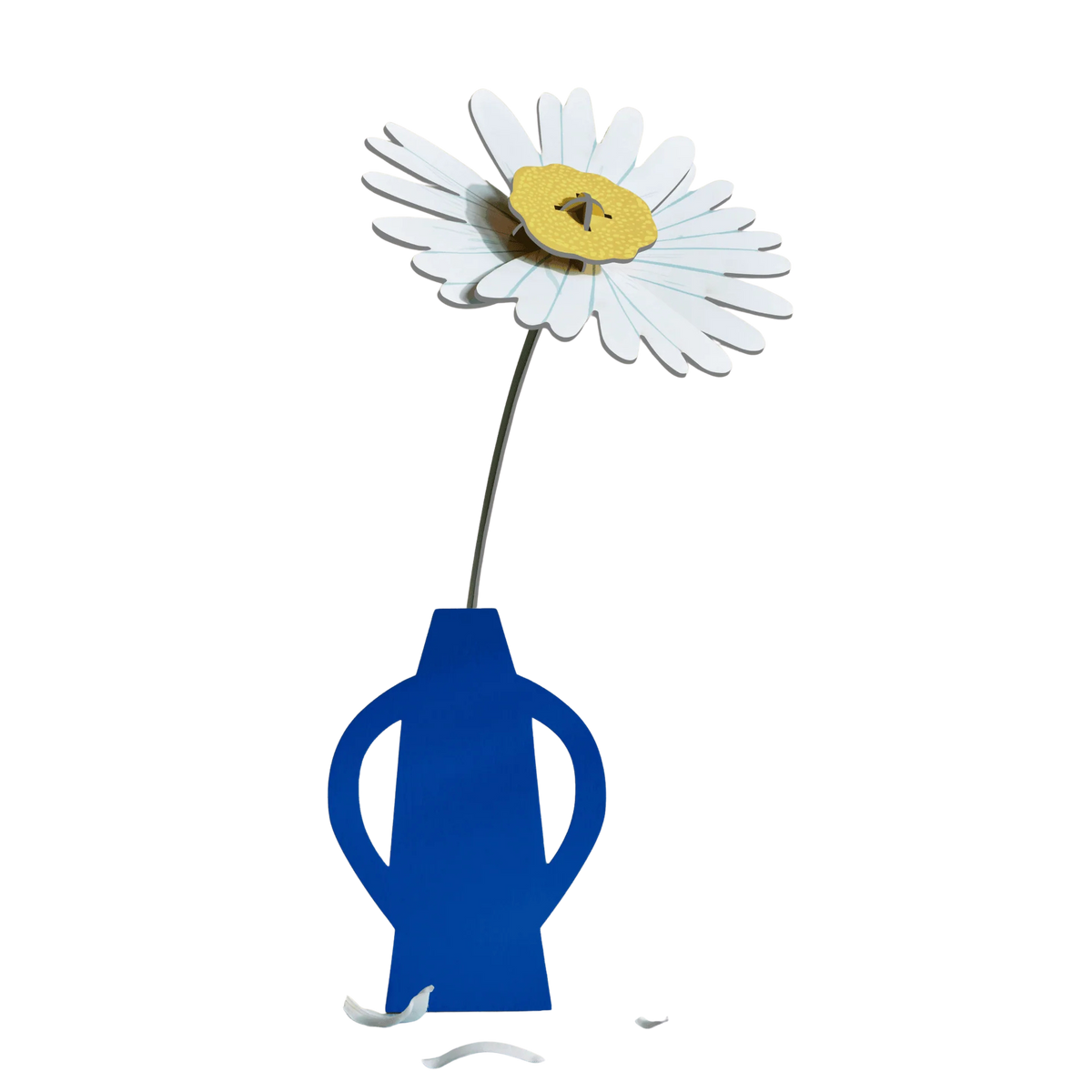 Everlasting Flower - Daisy