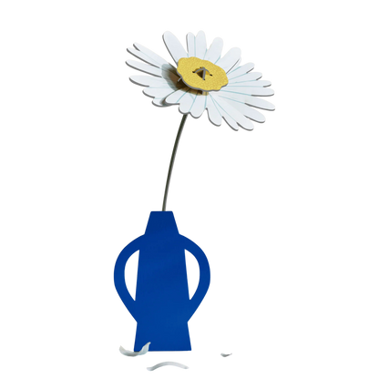Everlasting Flower - Daisy