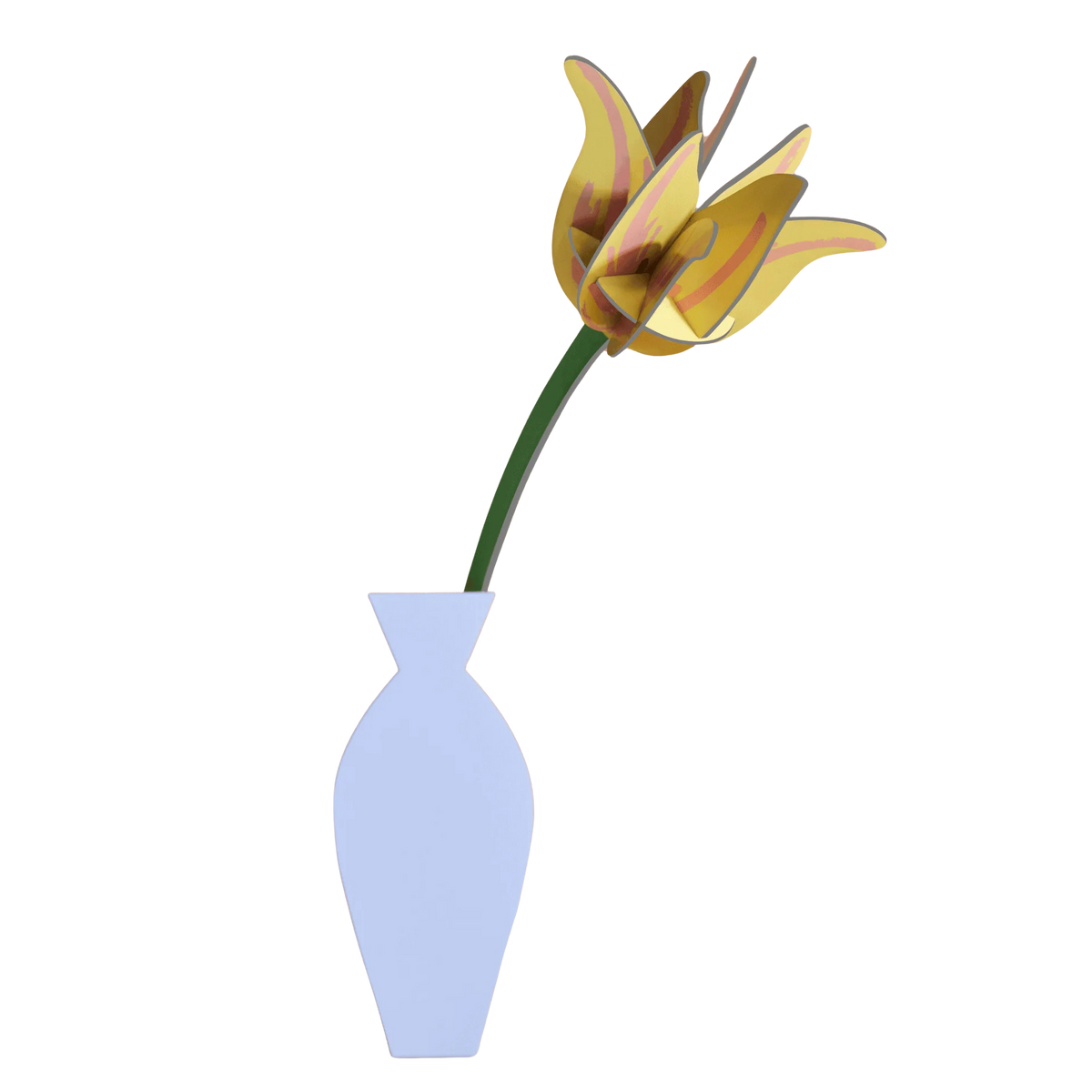 Everlasting Flower - Yellow Tulip