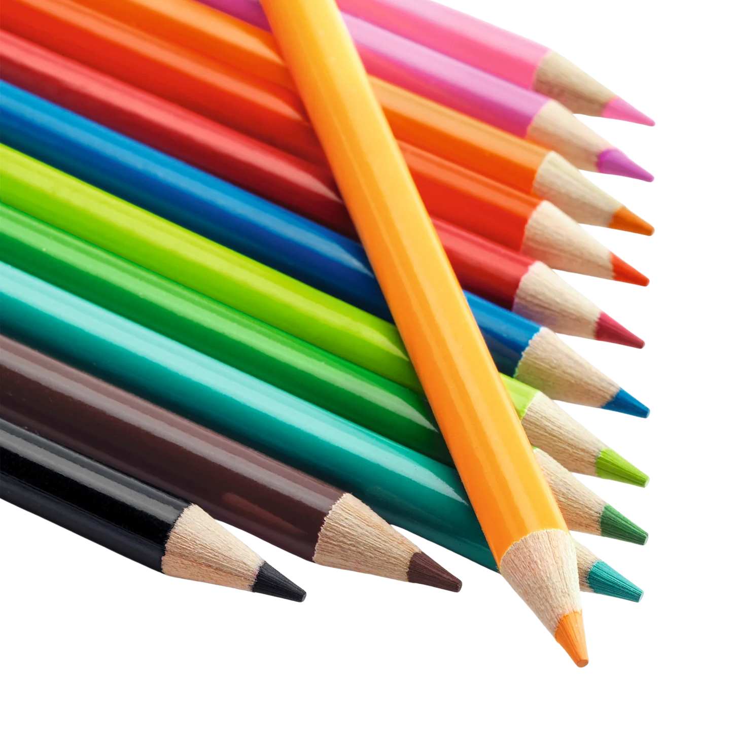 12 Matite Acquarellabili