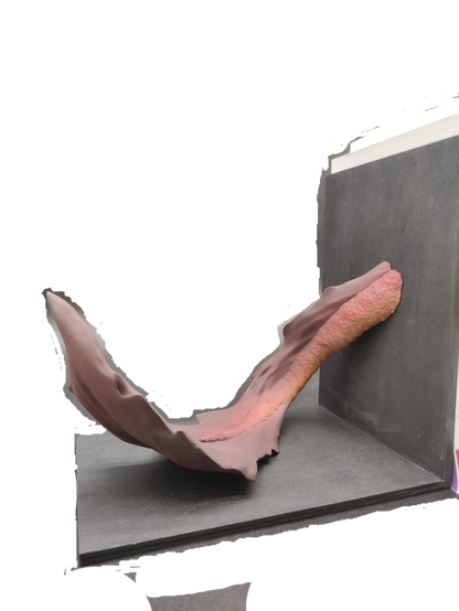 Bookends Drago Rosso Antico