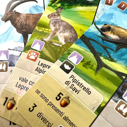 Forest Shuffle - Alpine