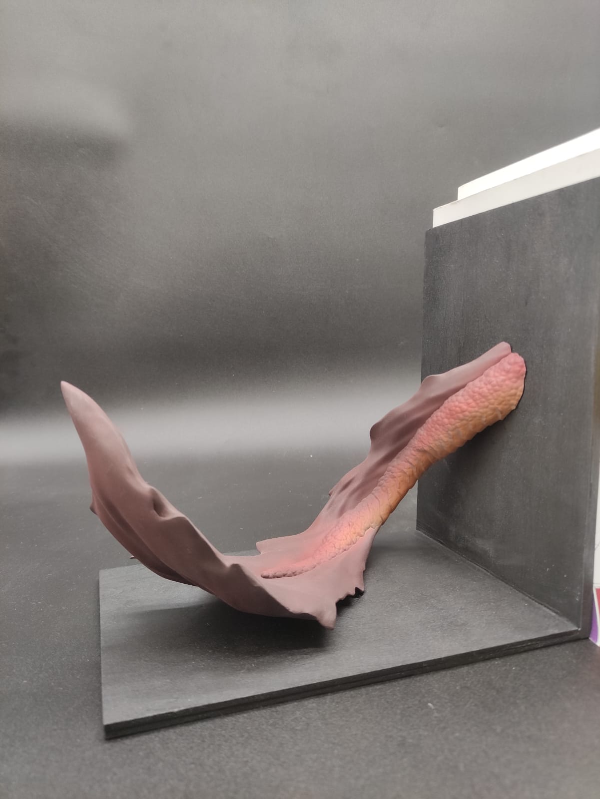 Bookends Drago Rosso Antico