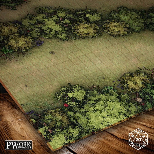 RPG Battle Map 30x30" (76x76cm) - The Ambush