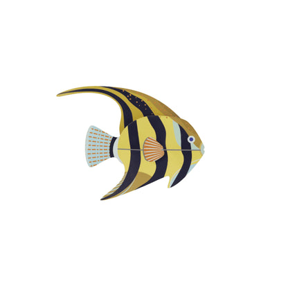 Angelfish