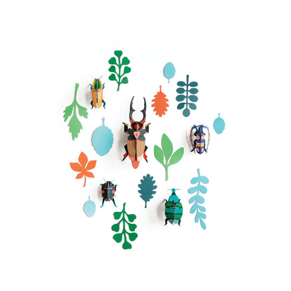 Beetle Collection - Wall of Curiosities