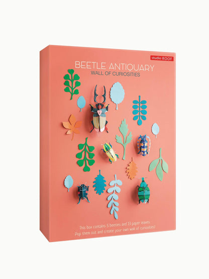 Beetle Collection - Wall of Curiosities