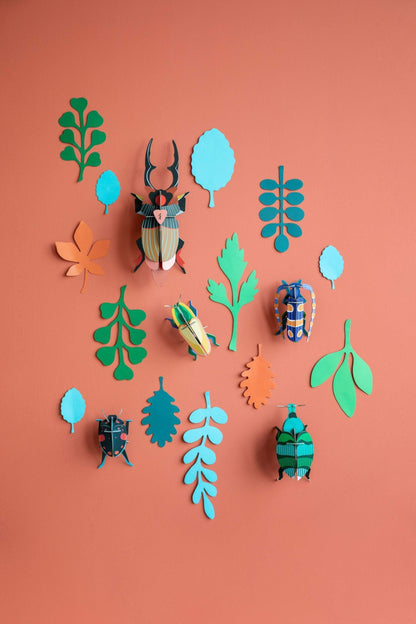 Beetle Collection - Wall of Curiosities