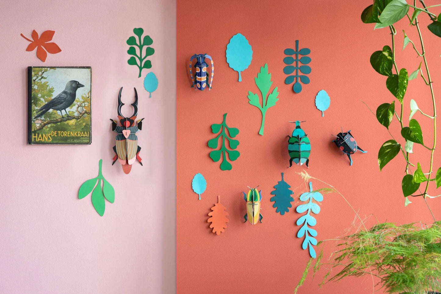 Beetle Collection - Wall of Curiosities
