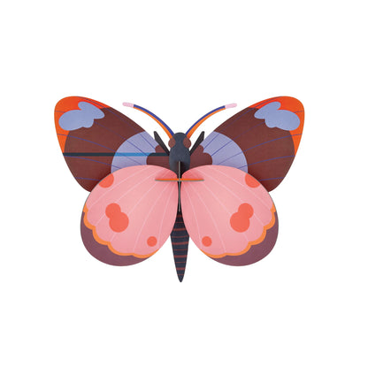 Bellissima Butterfly