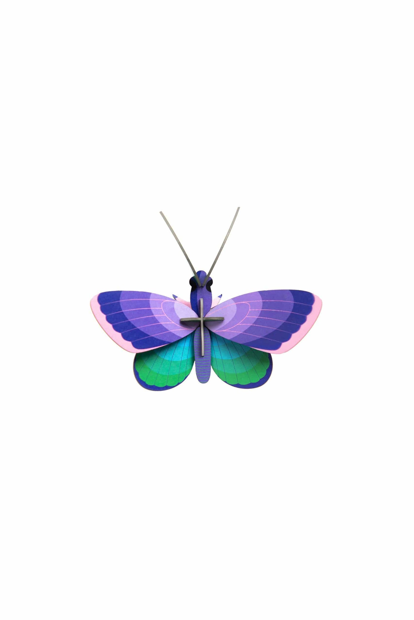 Blue Copper Butterfly