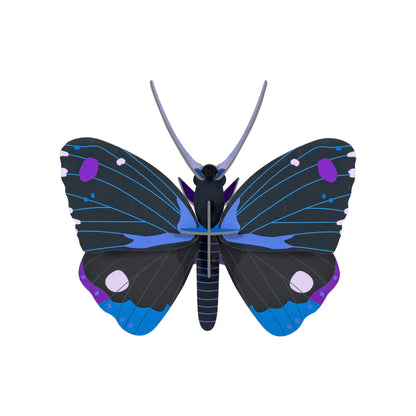 Blue Diadem Butterfly