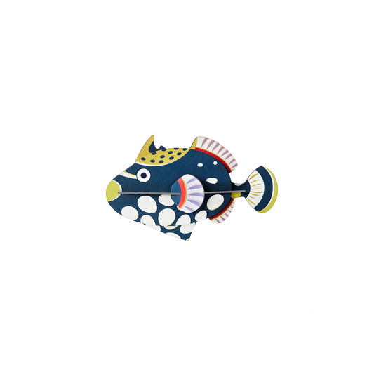 Clown Triggerfish