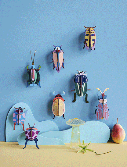 Coccinelle Couple