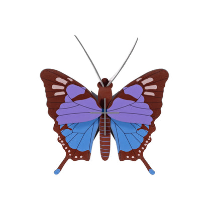 Crysalus Butterfly
