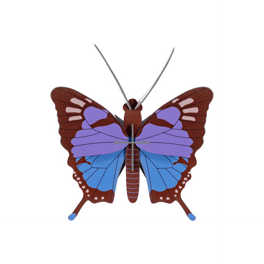 Crysalus Butterfly