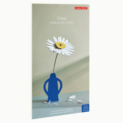 Everlasting Flower - Daisy