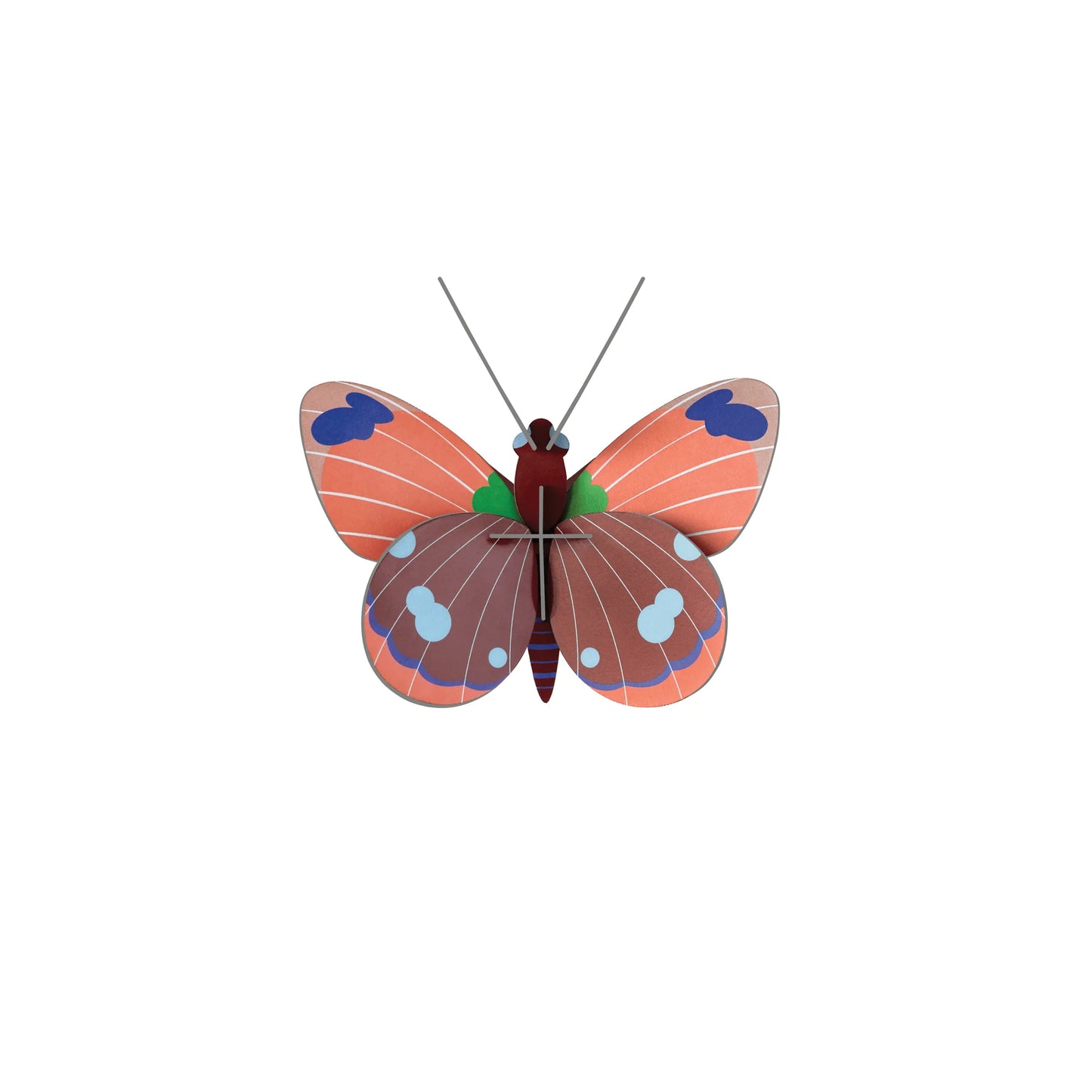 Delias Butterfly
