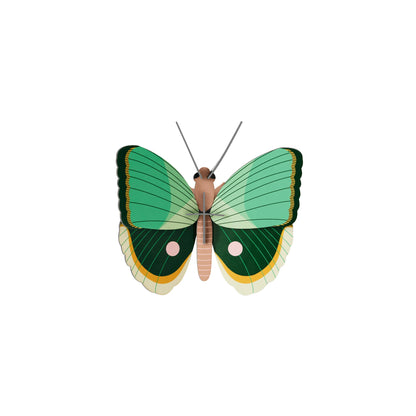 Fern Striped Butterfly