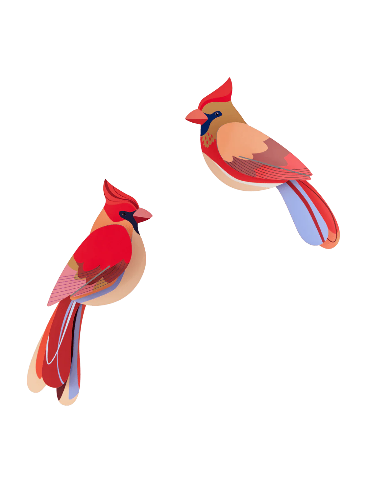 Garden Bird - Cardinals