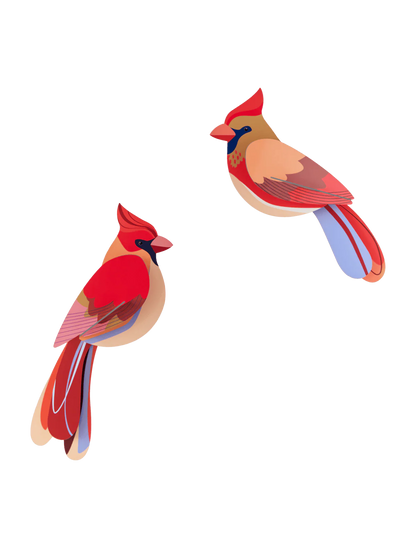 Garden Bird - Cardinals