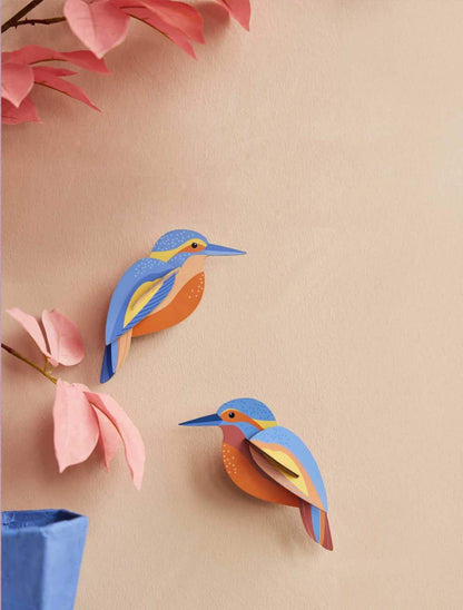 Garden Bird - Kingfishers