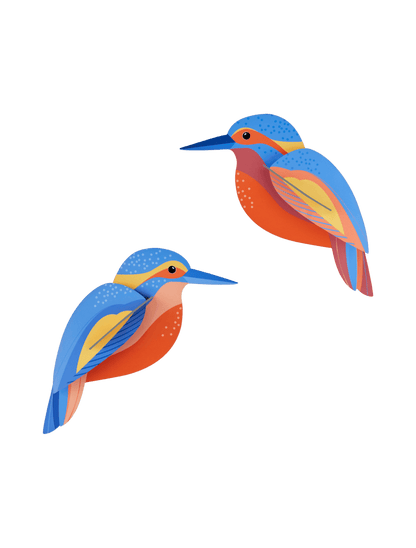 Garden Bird - Kingfishers