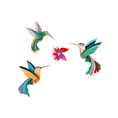 Paradise Bird - Dance of Hummingbirds
