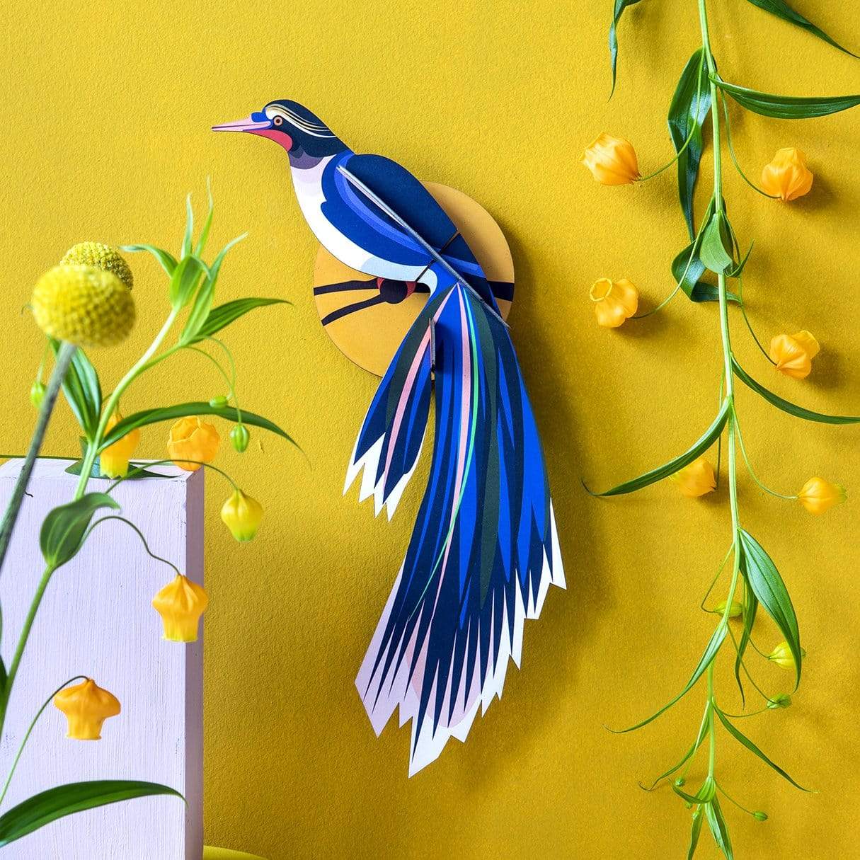 Paradise Bird Flores