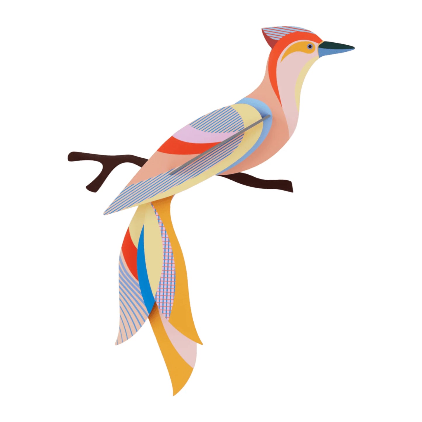 Paradise Bird Sabah