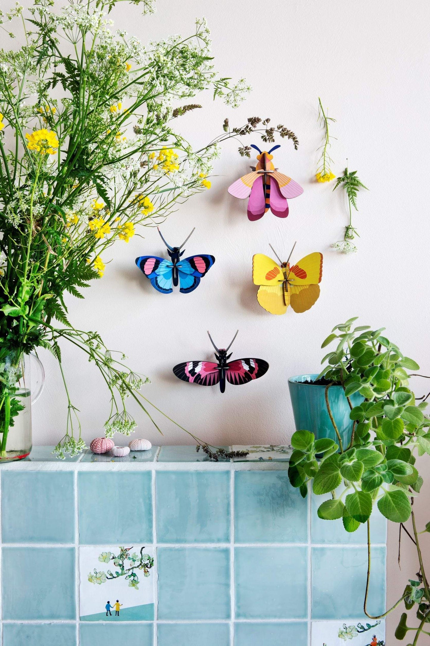Peacock Butterfly