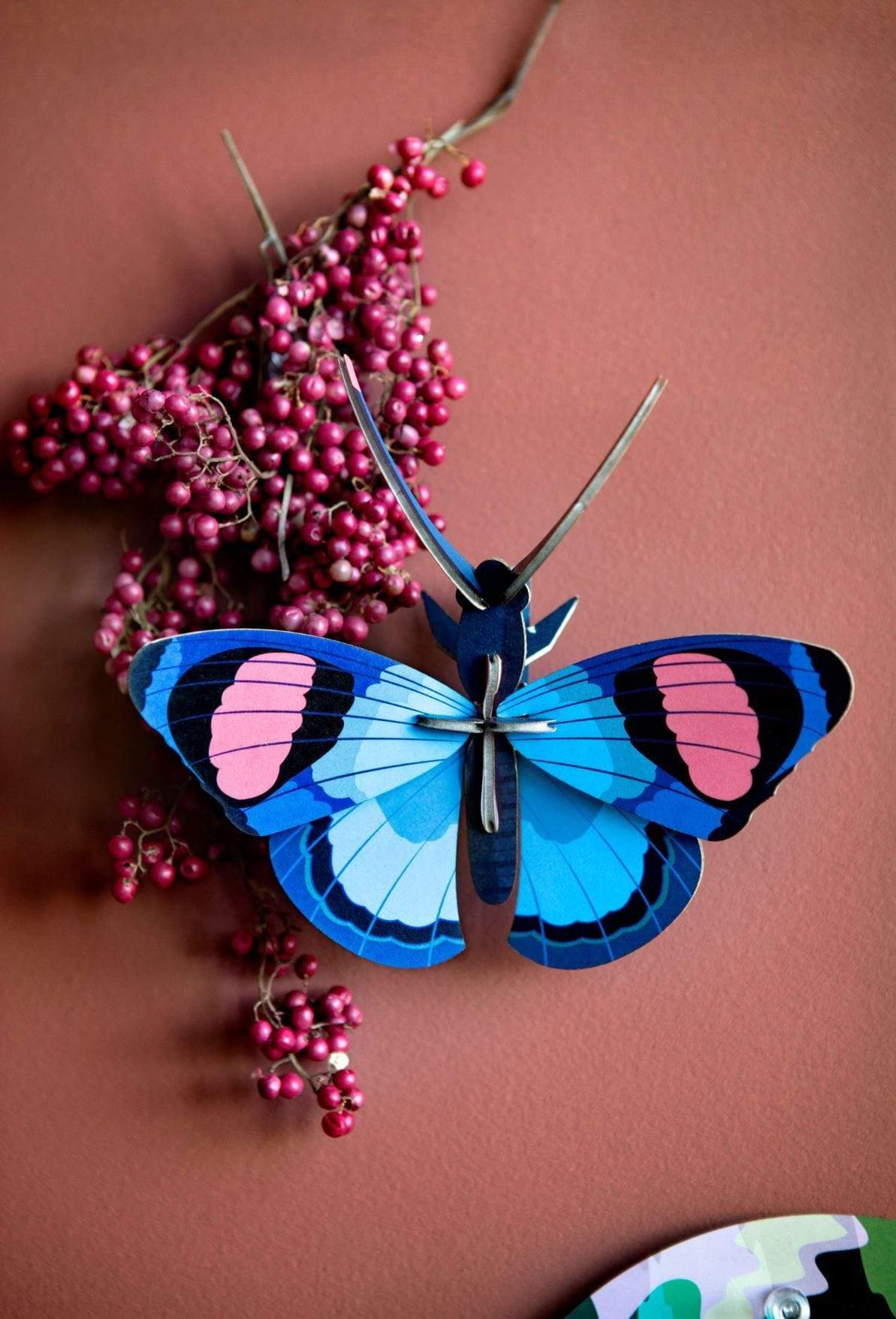 Peacock Butterfly