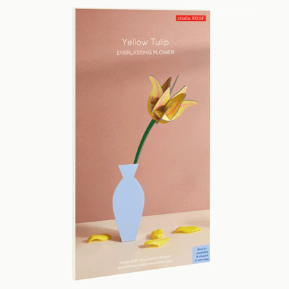 Everlasting Flower - Yellow Tulip